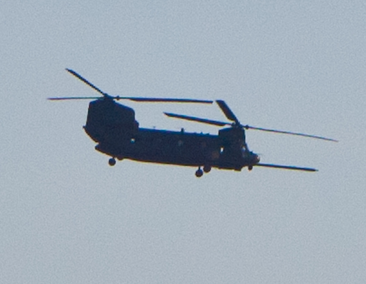 _MG_9793.jpg