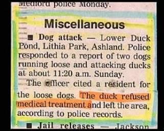 duck 1.JPG