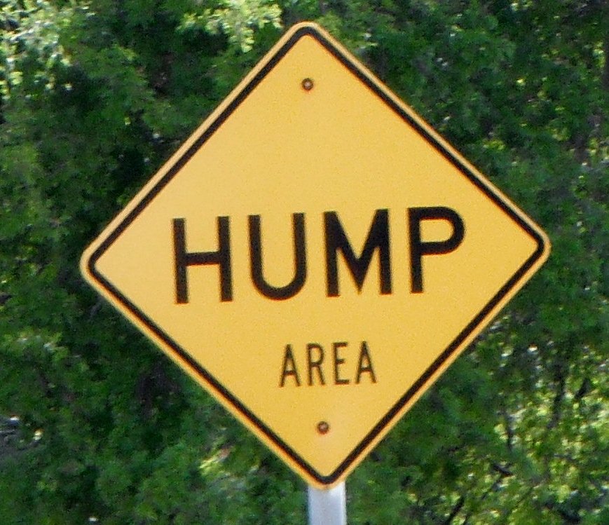 DSCF0817.jpg