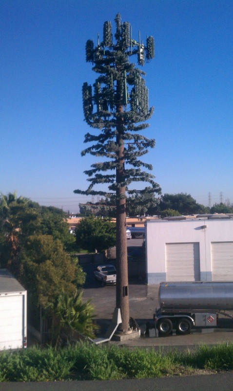 tree tower.jpg
