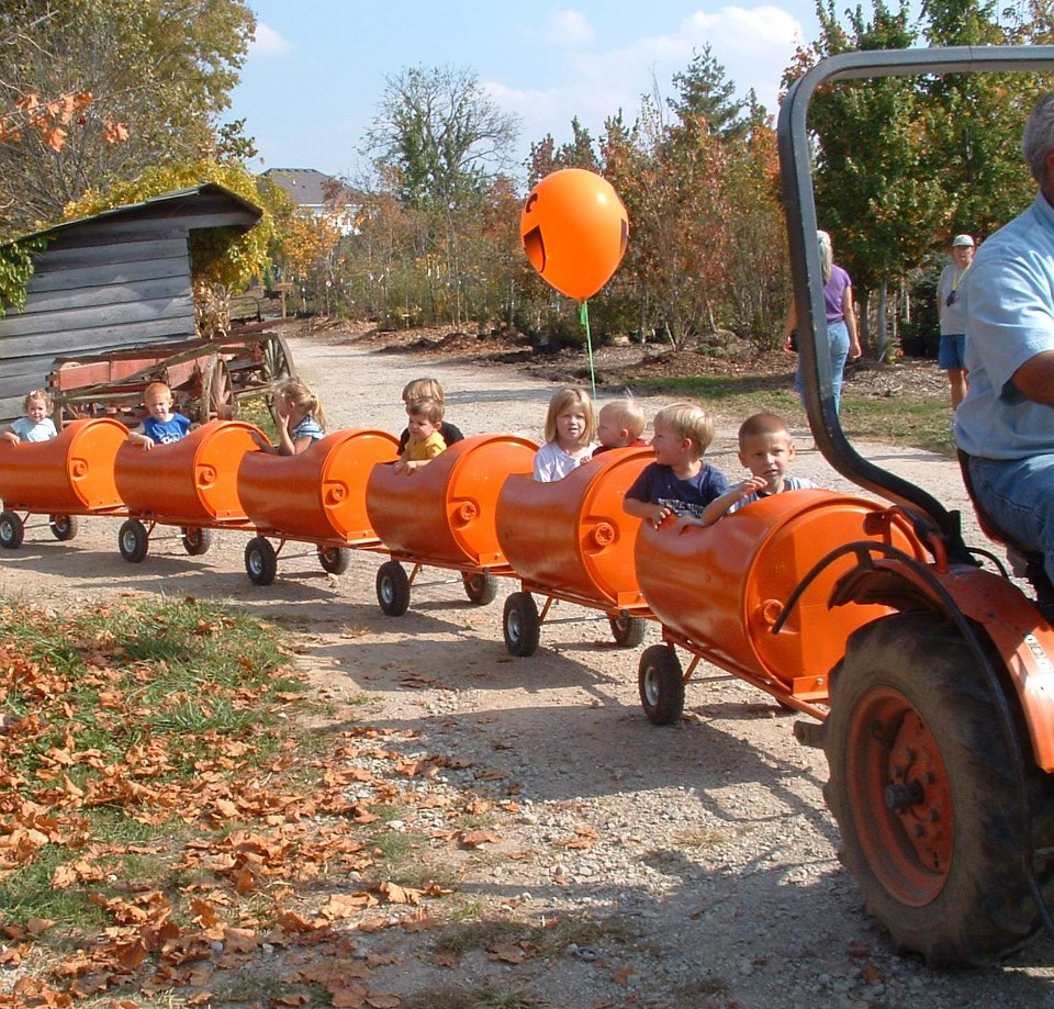 Halloween Train.jpg