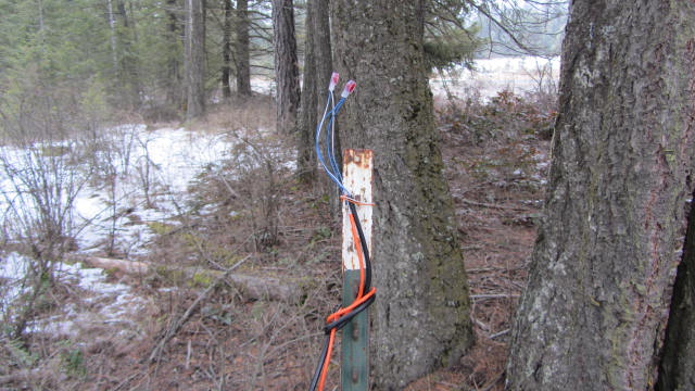 IMG_0014.JPG