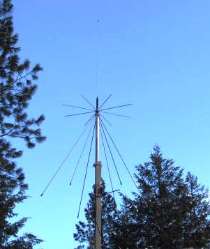 IMG_0016.JPG