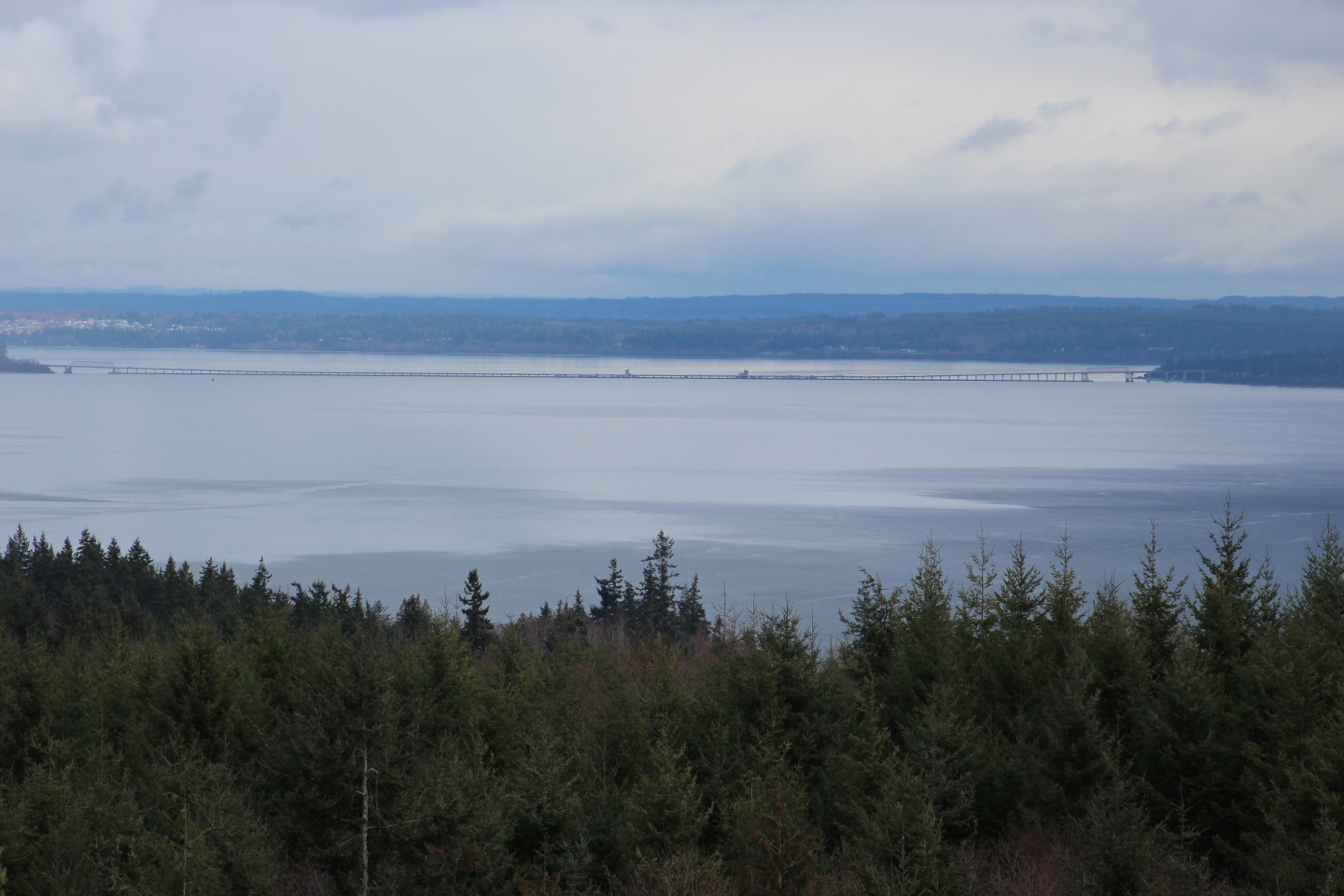 sm_2552.jpg