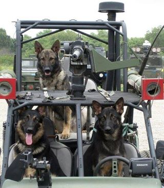 K9 Patrol.jpg