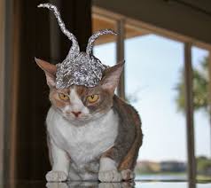 Tin Cat Hat.jpg