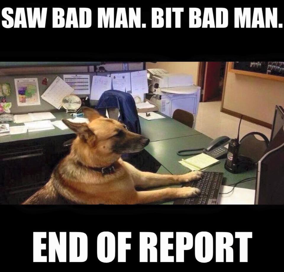 Report.jpg