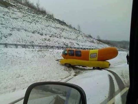 Cold Dog.jpg