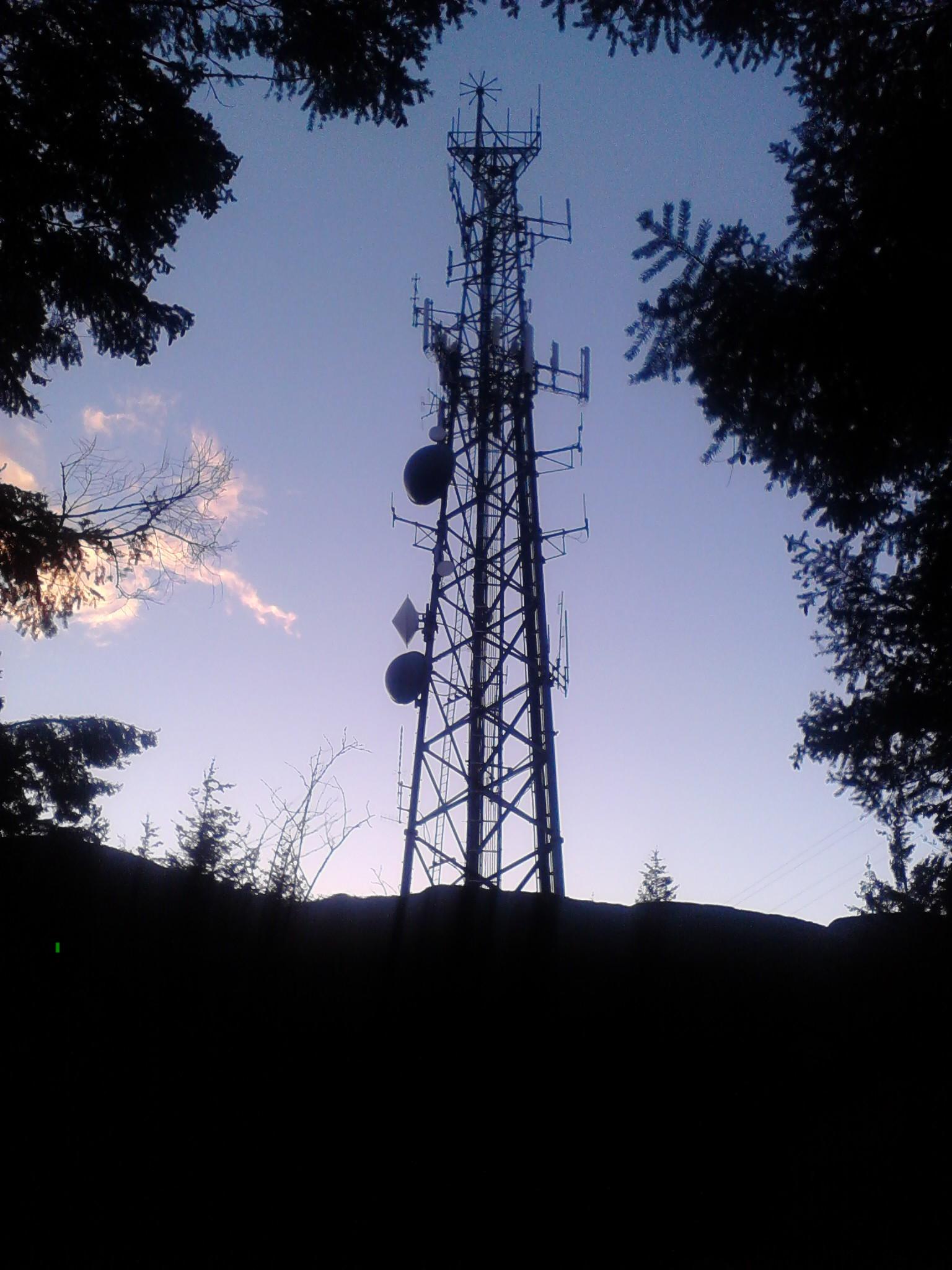 Spring is in the air.JPG