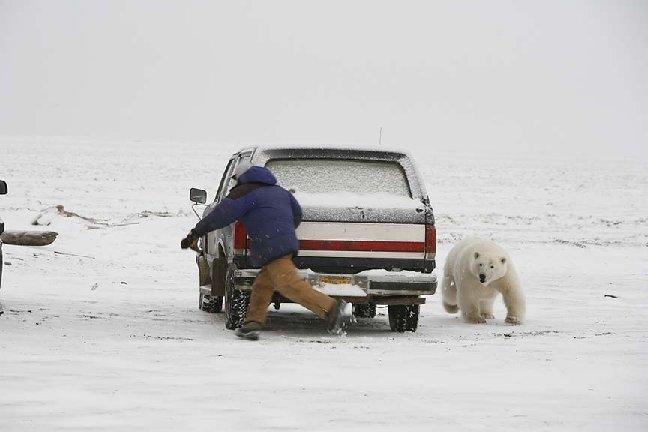 bear hunt.JPG
