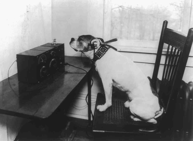 Dog w radio headphones, 1922.jpg