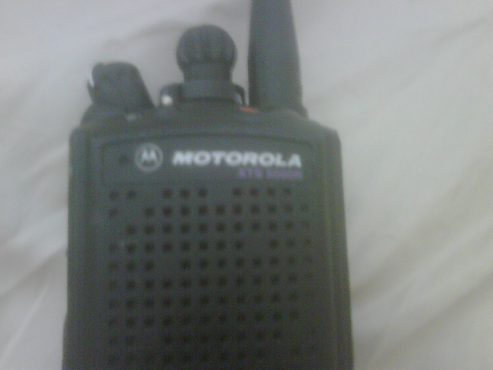 IMG00047-20090519-1628.jpg